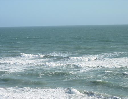 Wave in Satellite Beach